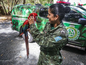 Batalhão de Polícia Ambiental ganha nova sede e reforça ações no Piauí