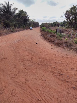 Homem é assassinado a tiros em povoado na zona rural de Teresina