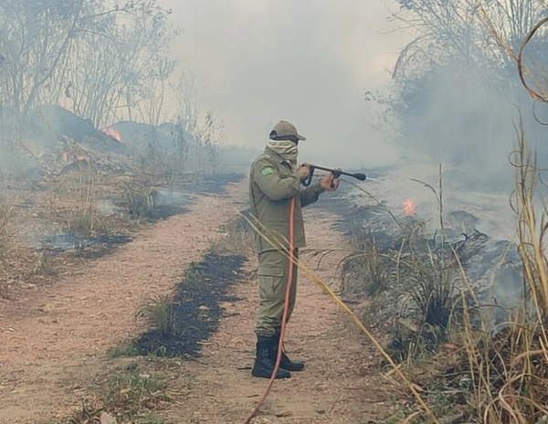 Incêndio atinge matagal no campus da UFPI em Teresina.